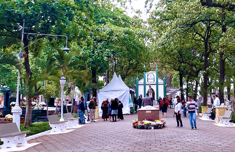 Apesar Do Frio Feriado De Finados Levou Milhares De Pessoas Ao